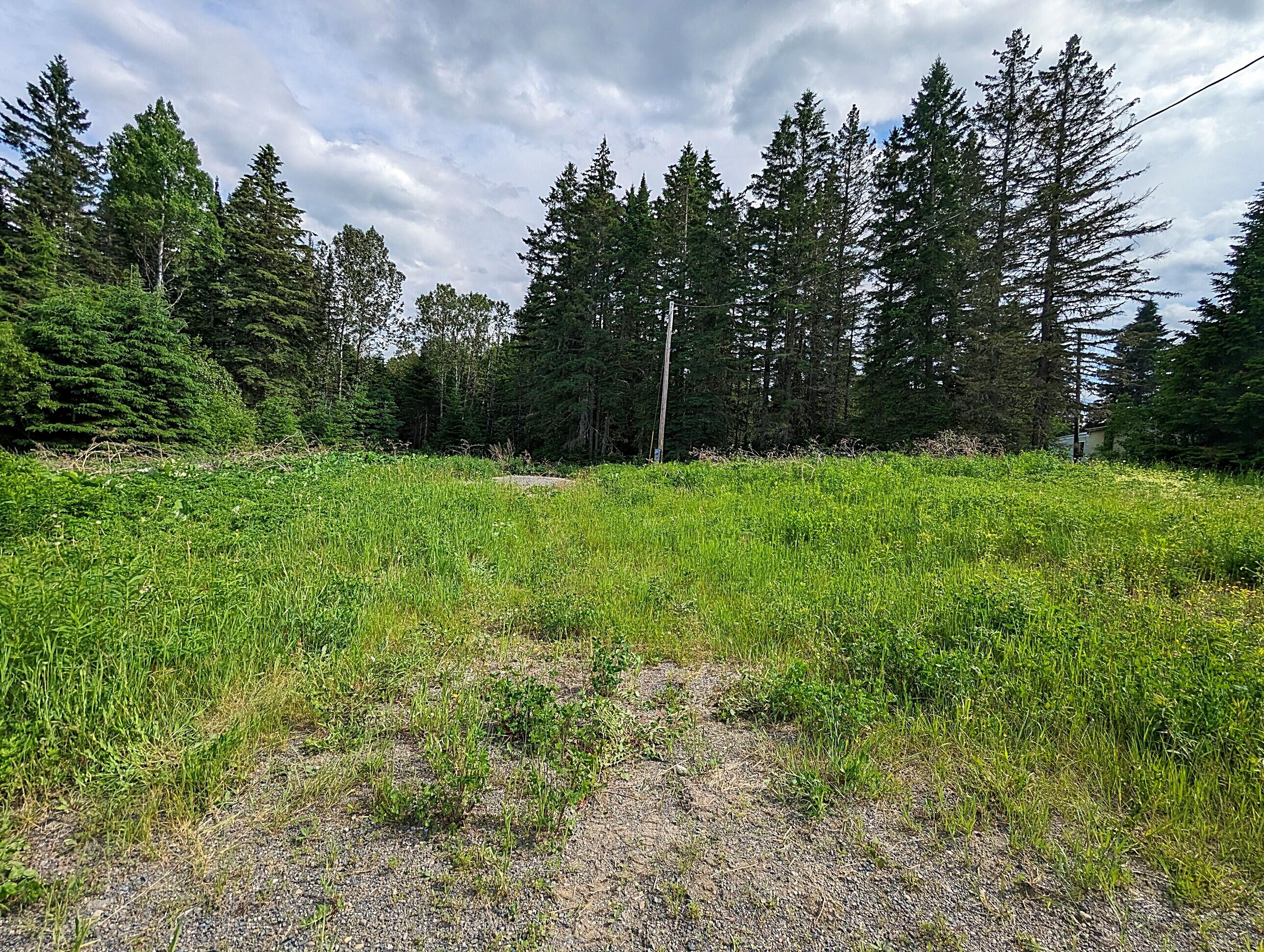 286 Langley Road Woodland, ME 04736 - Photo 3 of 4 2024-06-13_21.42.35
