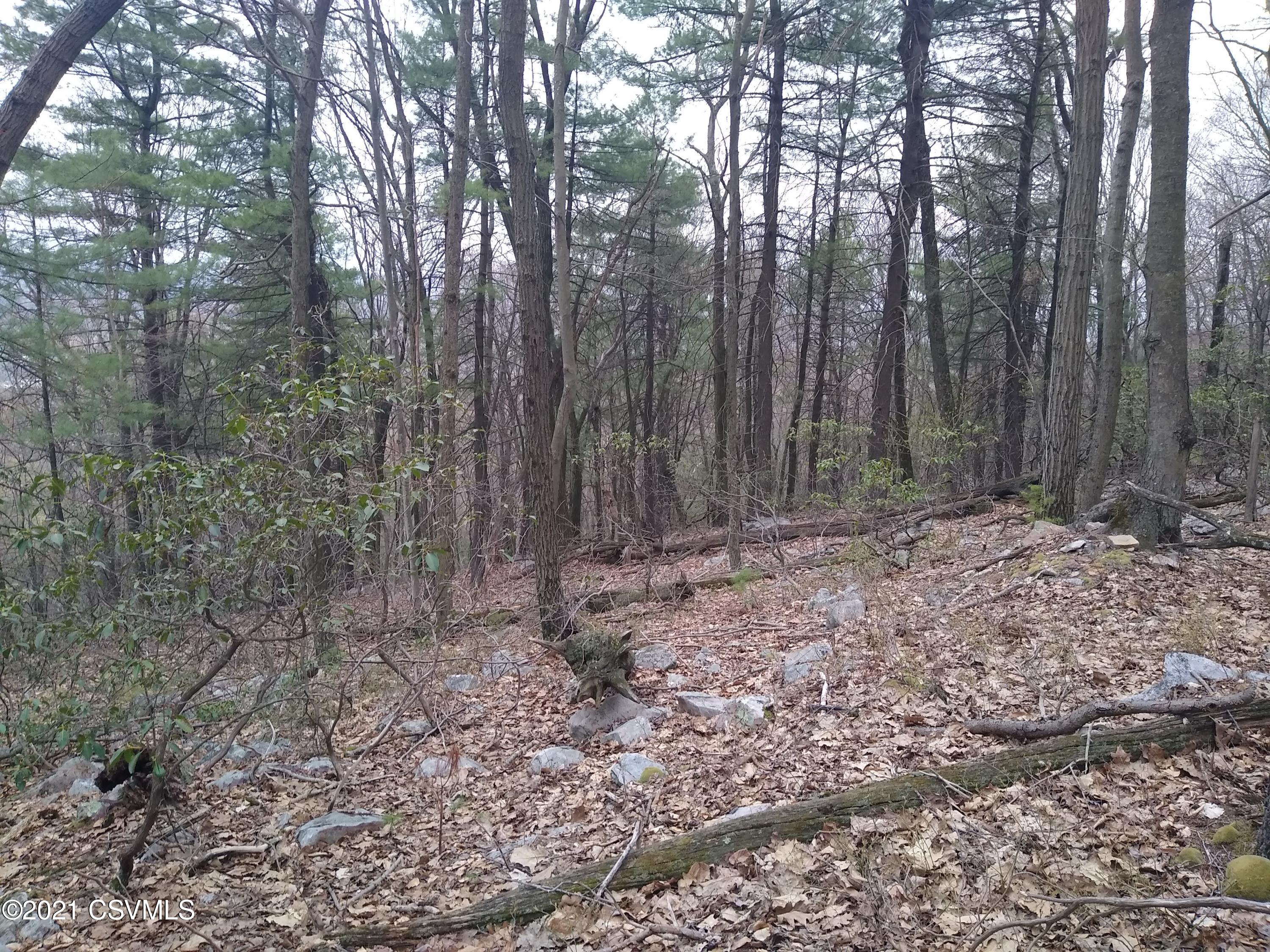 21-acres End Road Richfield, PA 17086 - Photo 1 of 5 Gallery Image 1