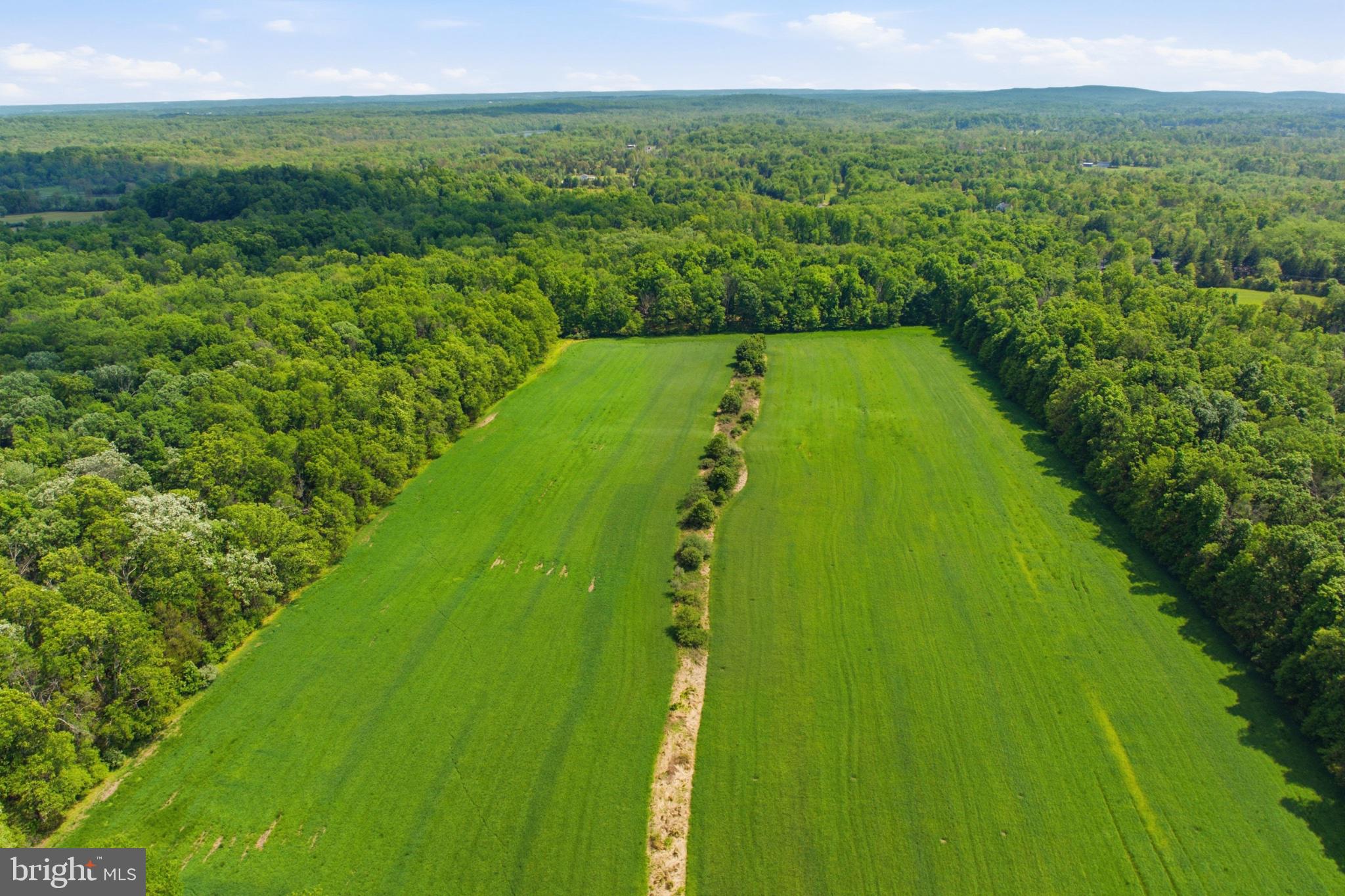1540 Roundhouse Road Quakertown, PA 18951 - Photo 10 of 20 Lush green fields meet serene woodlands.
