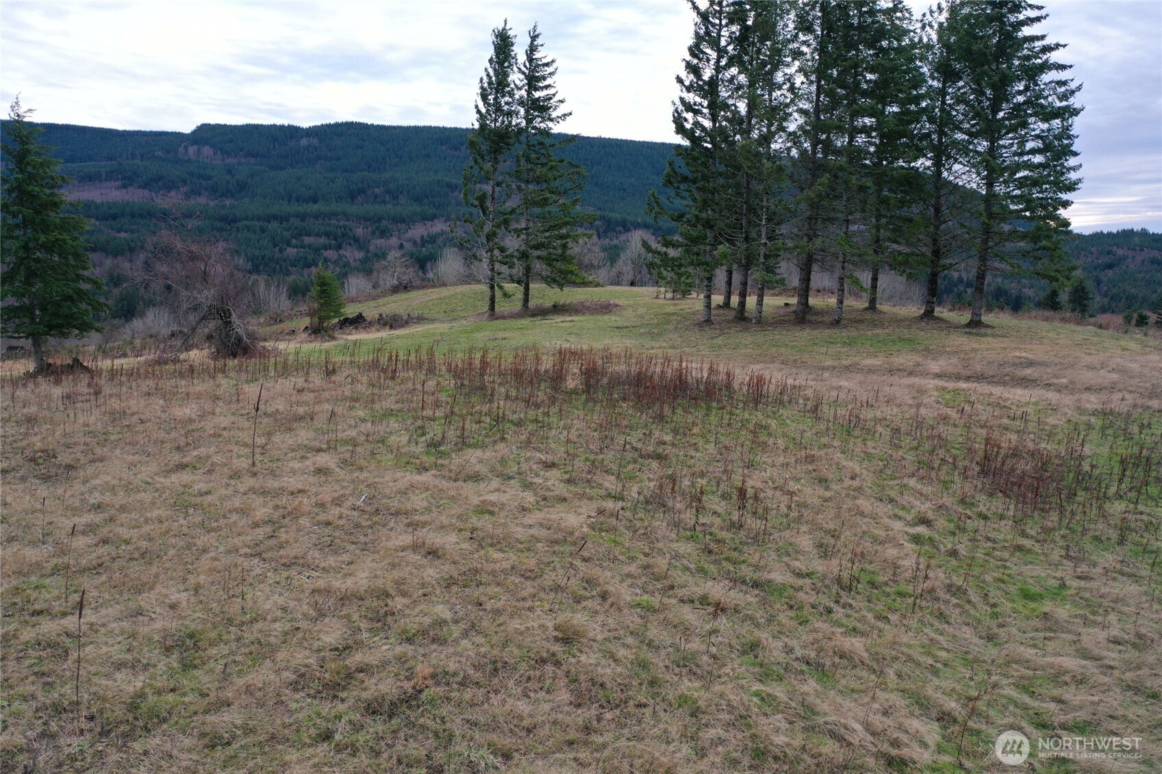 4 Hagen Road Mossyrock, WA 98564 - Photo 10 of 15