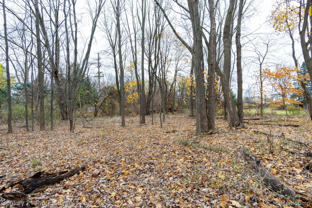 Lot 2 West Walton Pontiac, MI 48340 - Photo 20 of 21