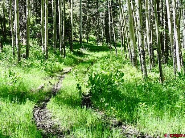 $19,900,000 | 0 Sr 512 Highway, Unit MUNDY RANCH AND MOUNTAIN ESTATE, Chama, NM 87520