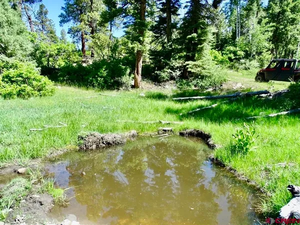 $19,900,000 | 0 Sr 512 Highway, Unit MUNDY RANCH AND MOUNTAIN ESTATE, Chama, NM 87520