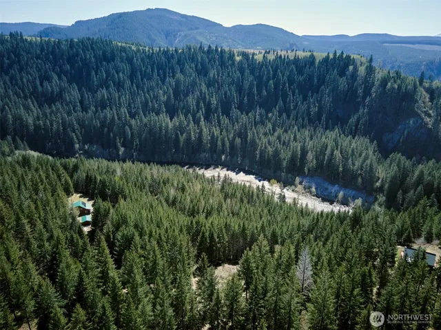 a view of a lush green hillside and a houses