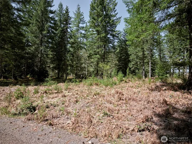 a view of a yard with plants and trees