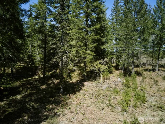 a view of a yard of a house