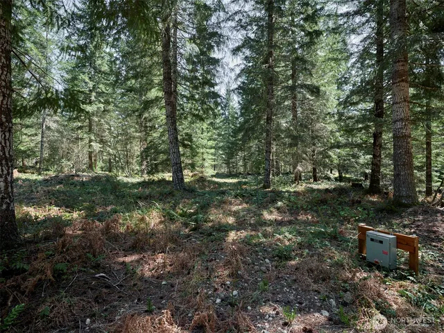 a view of a green field with lots of bushes