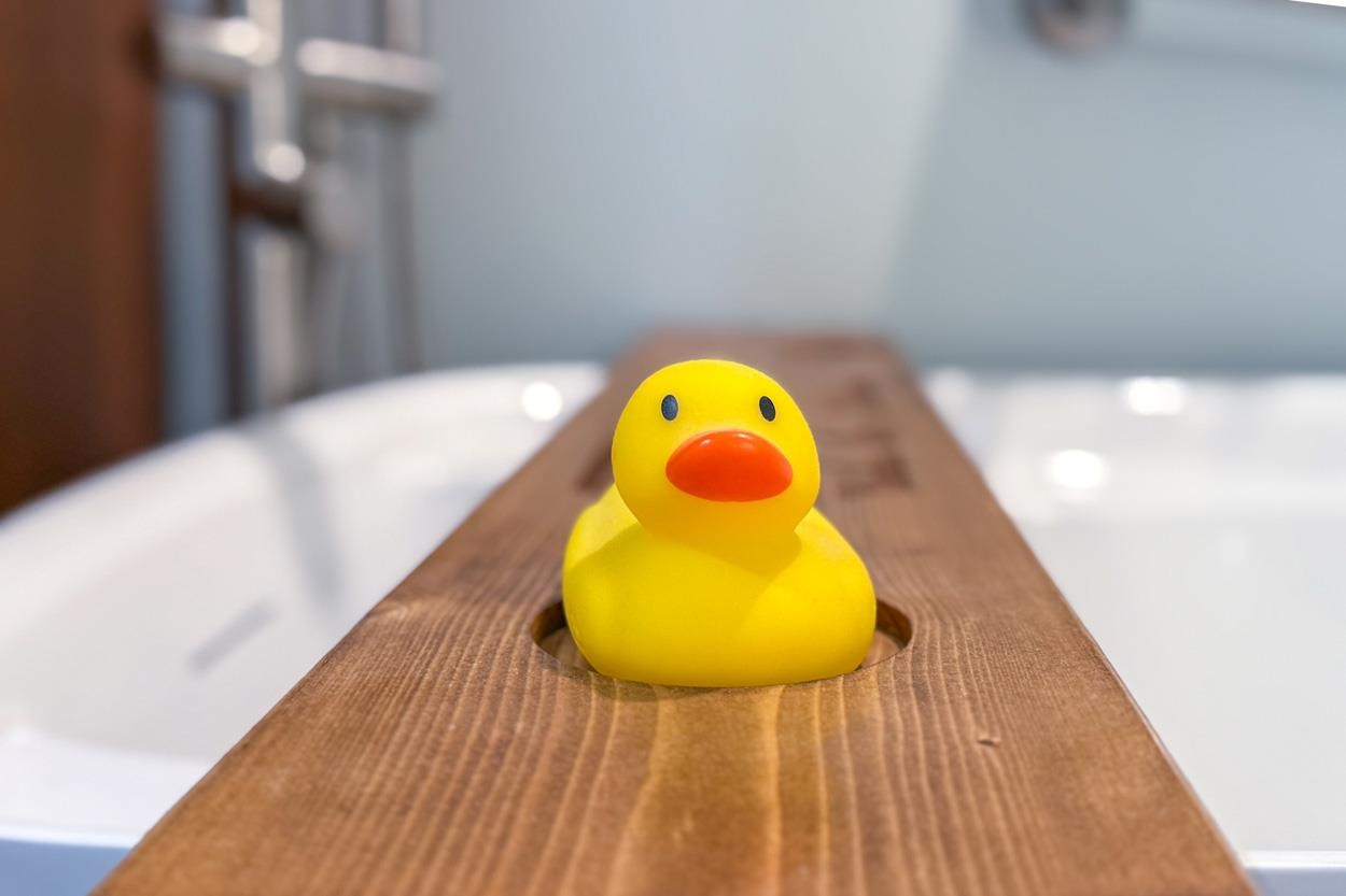 141 Chase Way Manchester, NH 03104 - Photo 38 of 51