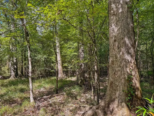 a view of lake with green space