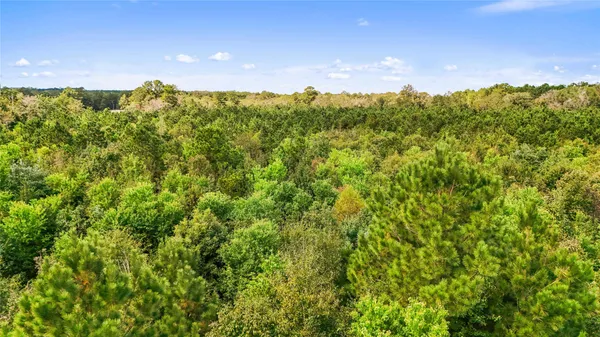 $179,500 | 190 Newton Tx 75966, Newton, TX 75966