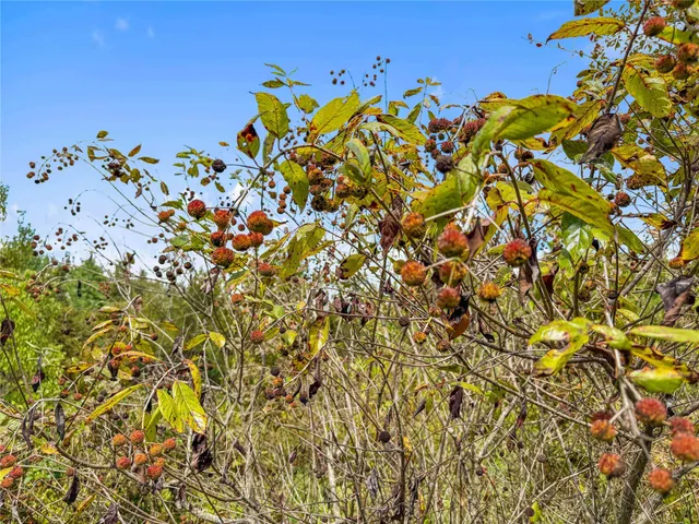 $179,500 | 190 Newton Tx 75966, Newton, TX 75966