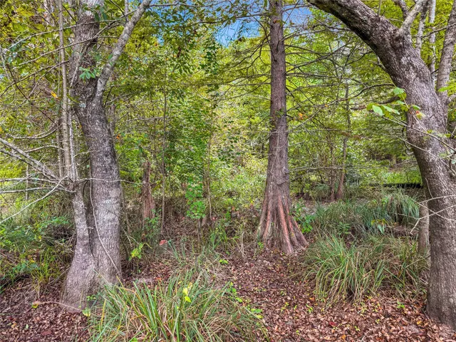 $179,500 | 190 Newton Tx 75966, Newton, TX 75966