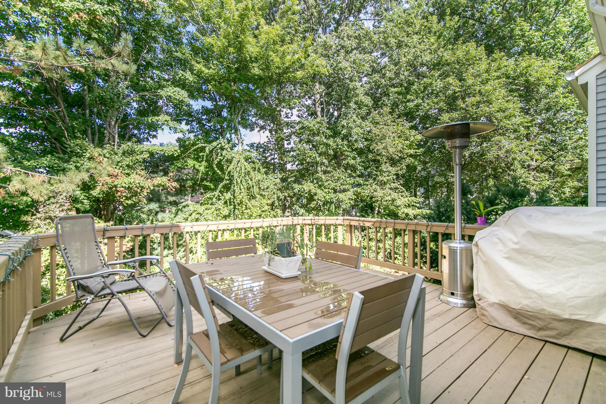 1327 Wedgewood Manor Way Reston, VA 20194 - Photo 15 of 29 Deck