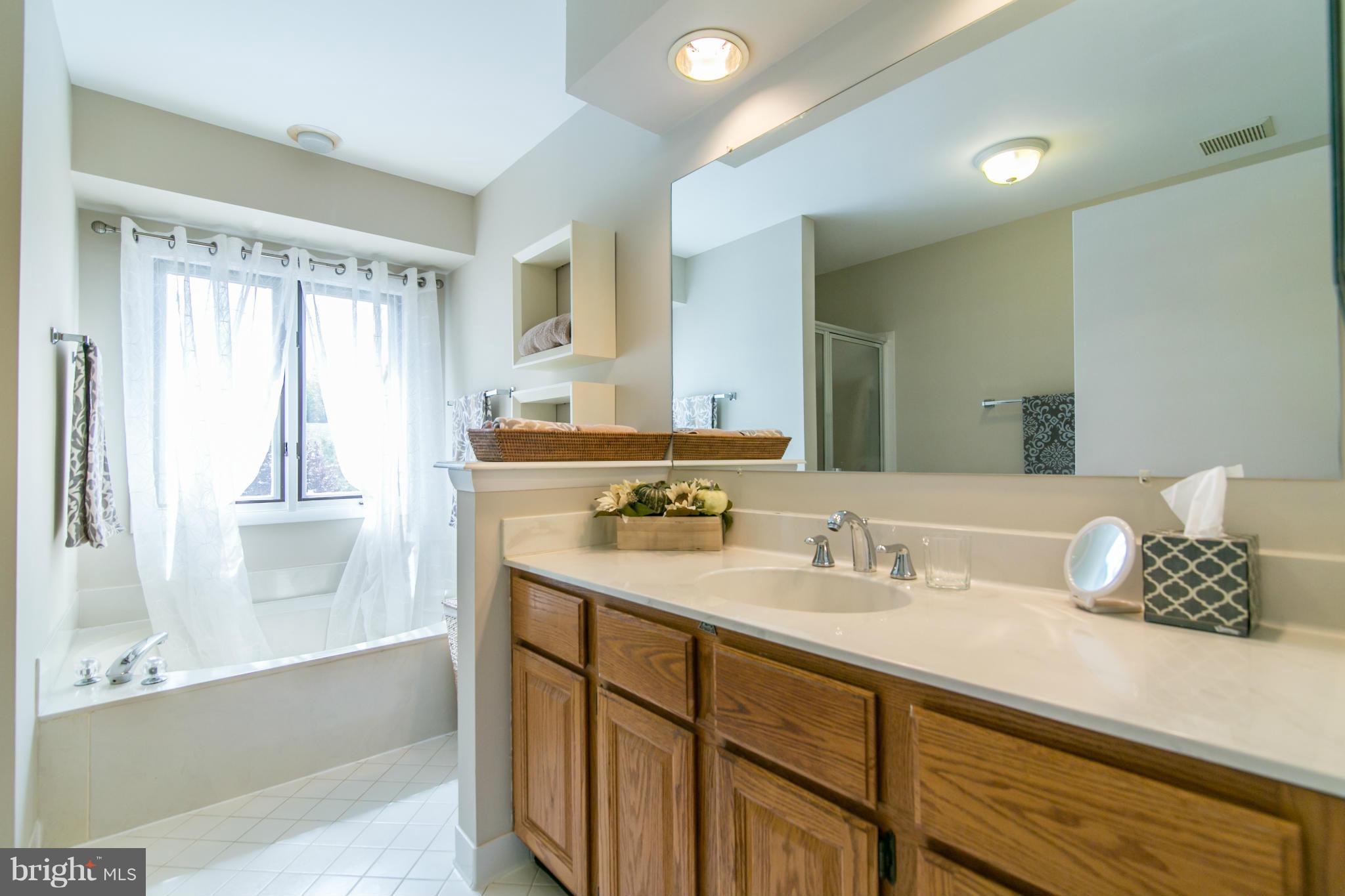 1327 Wedgewood Manor Way Reston, VA 20194 - Photo 19 of 29 Bath (Master)