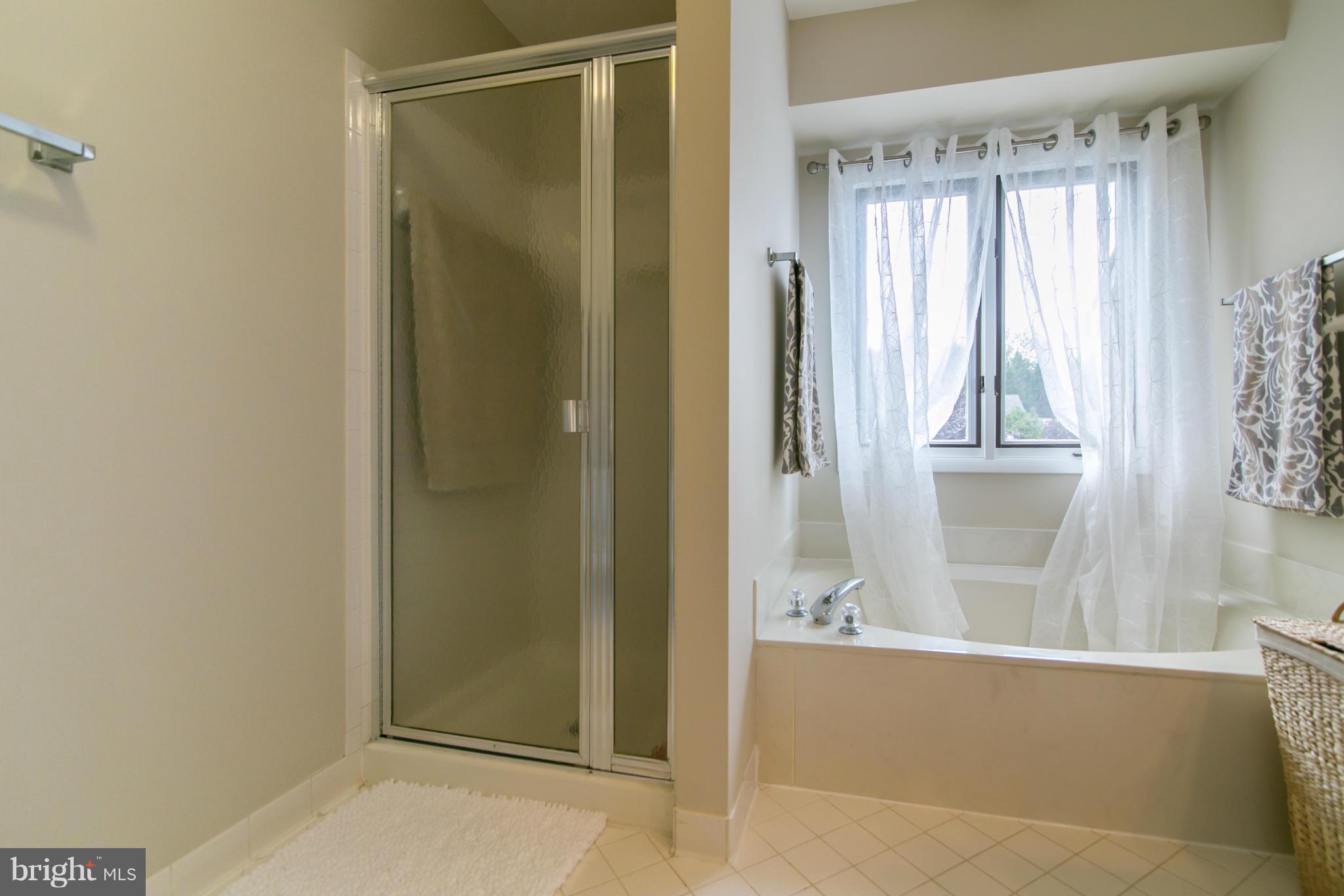1327 Wedgewood Manor Way Reston, VA 20194 - Photo 20 of 29 Bath (Master)