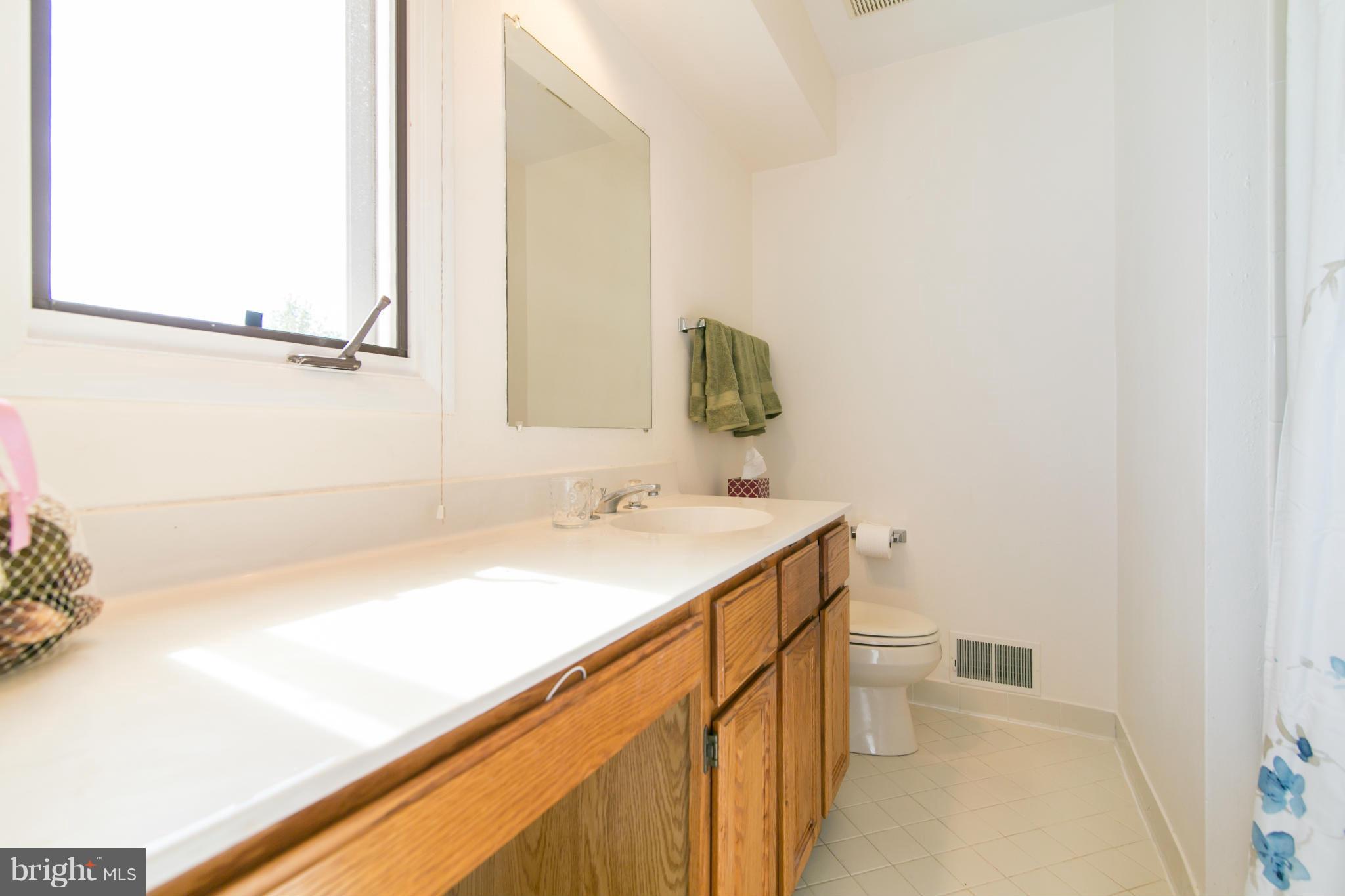 1327 Wedgewood Manor Way Reston, VA 20194 - Photo 24 of 29 Bath