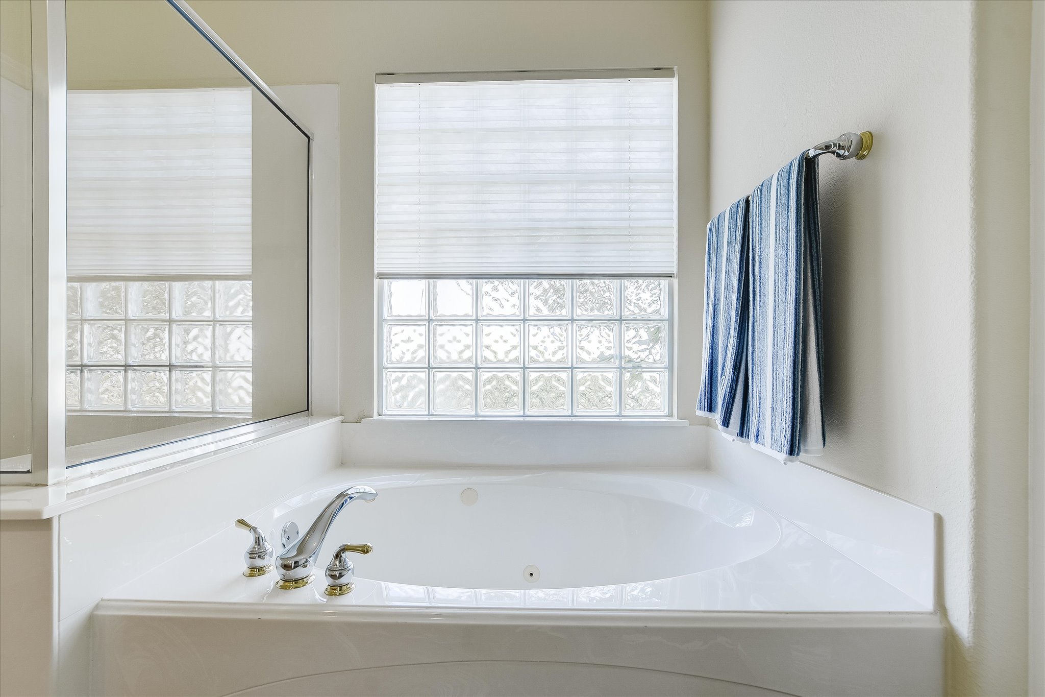603 Rio Grande Loop Georgetown, TX 78633 - Photo 17 of 27 Bathroom with plenty of natural light and a garden tub