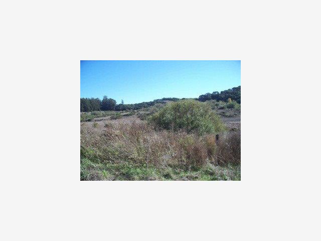 87 Oak Road Watsonville, CA 95076 - Photo 3 of 6 Gallery Image 3