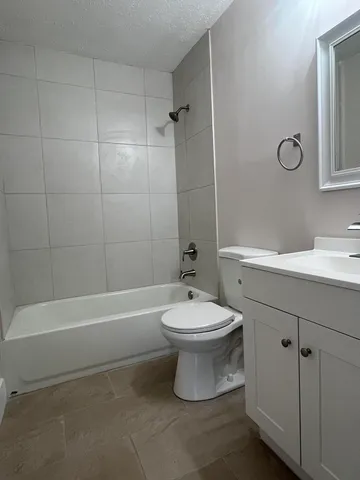 a bathroom with a toilet a sink a mirror and bathtub