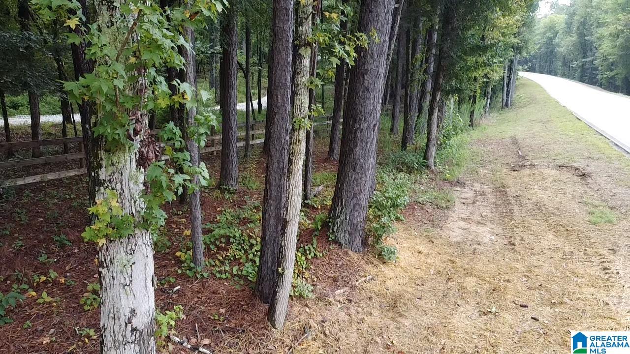 58 Rustic Oaks Drive Sterrett, AL 35147 - Photo 22 of 30