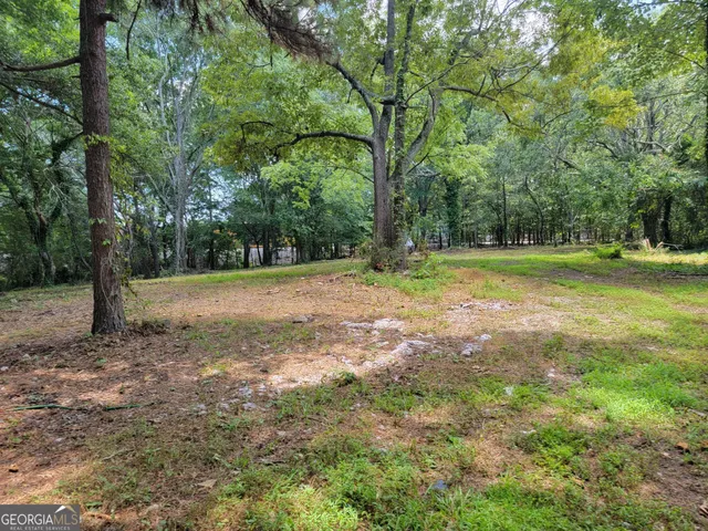 a view of outdoor space with trees all around