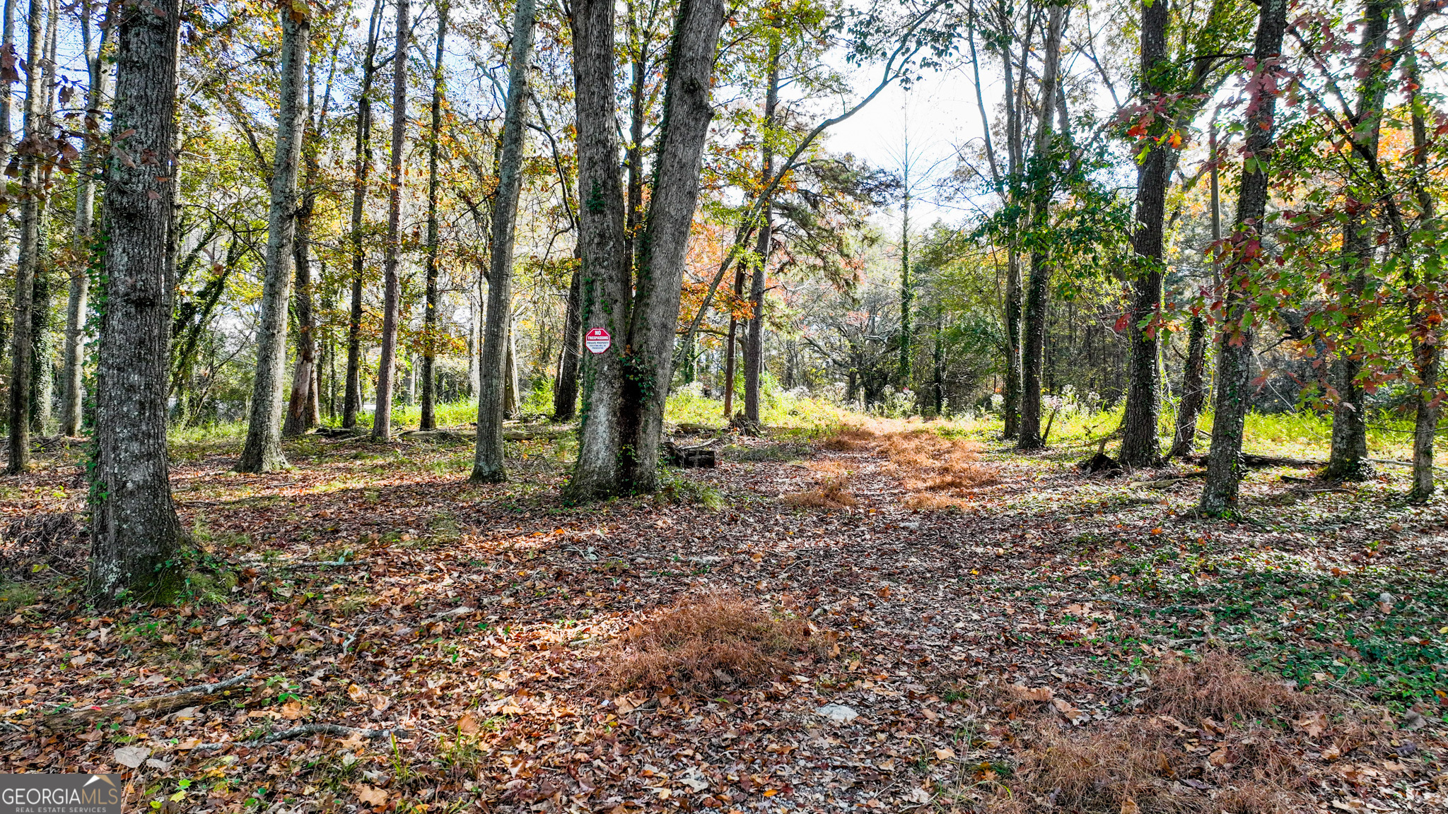 947 Sheppard Road Stone Mountain, GA 30083 - Photo 11 of 15 a view of outdoor space with trees