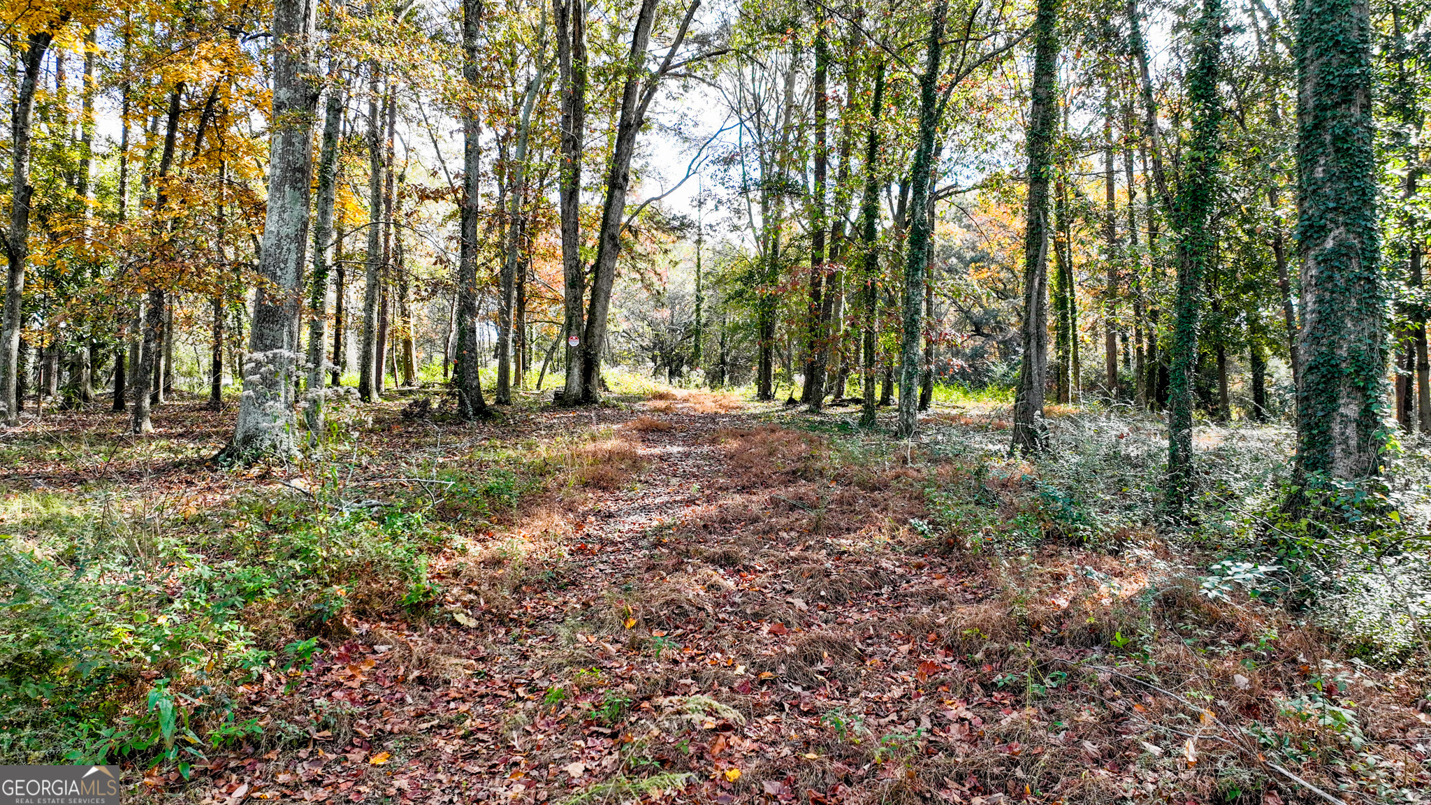 947 Sheppard Road Stone Mountain, GA 30083 - Photo 13 of 15 a view of outdoor space with trees