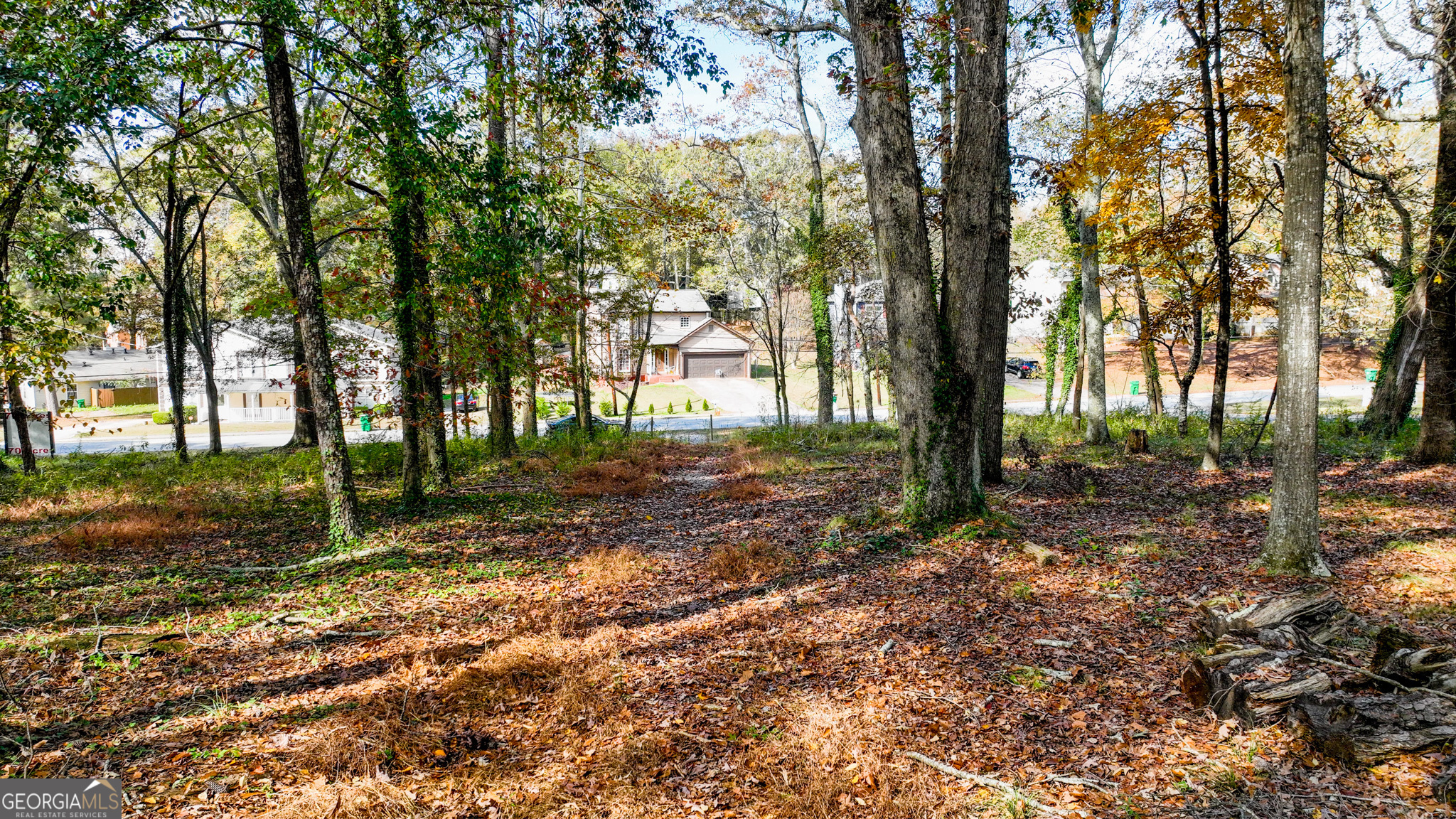 947 Sheppard Road Stone Mountain, GA 30083 - Photo 14 of 15 a view of a tree in the middle of a yard