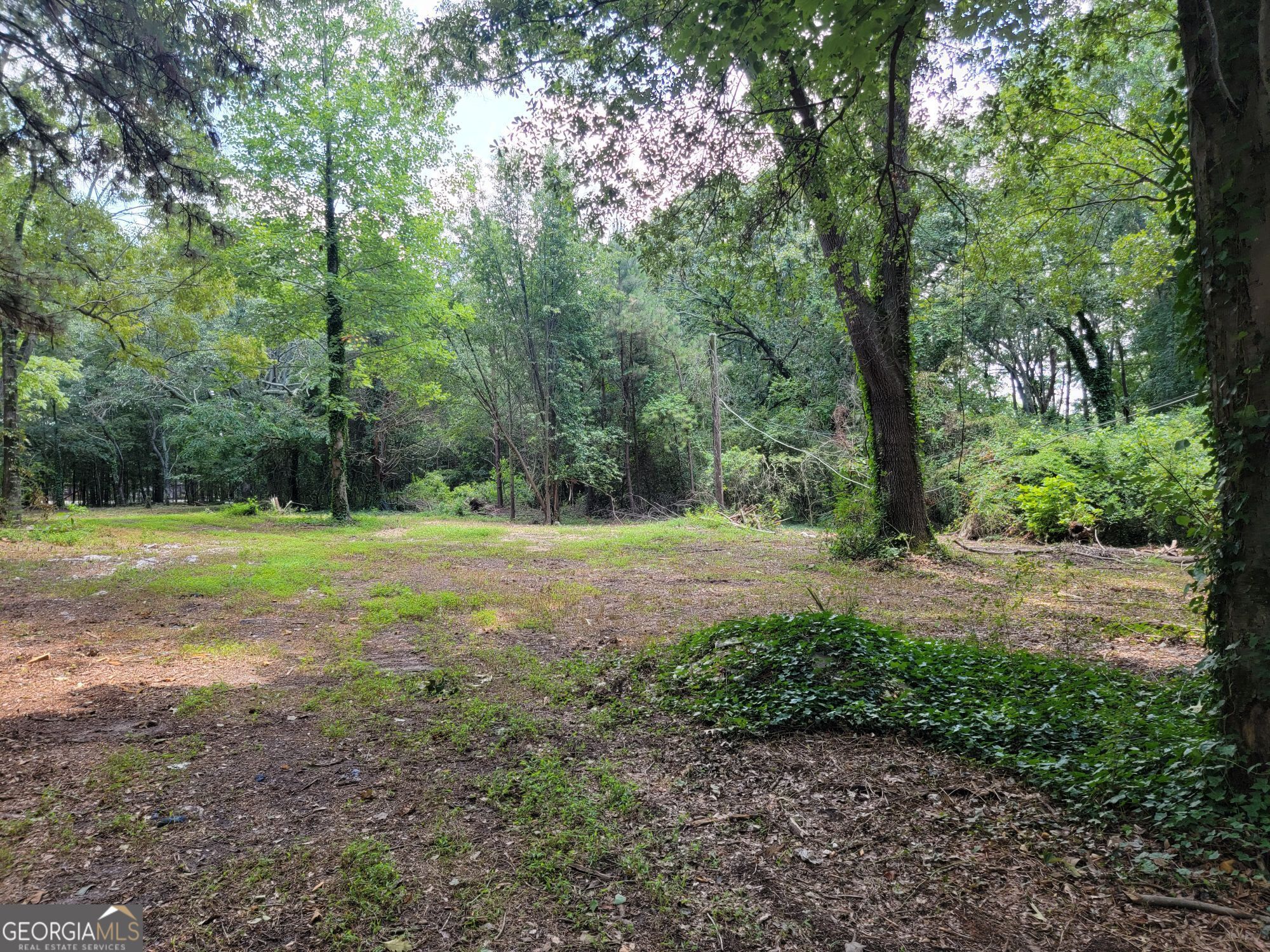 947 Sheppard Road Stone Mountain, GA 30083 - Photo 3 of 15 a view of outdoor space with trees all around