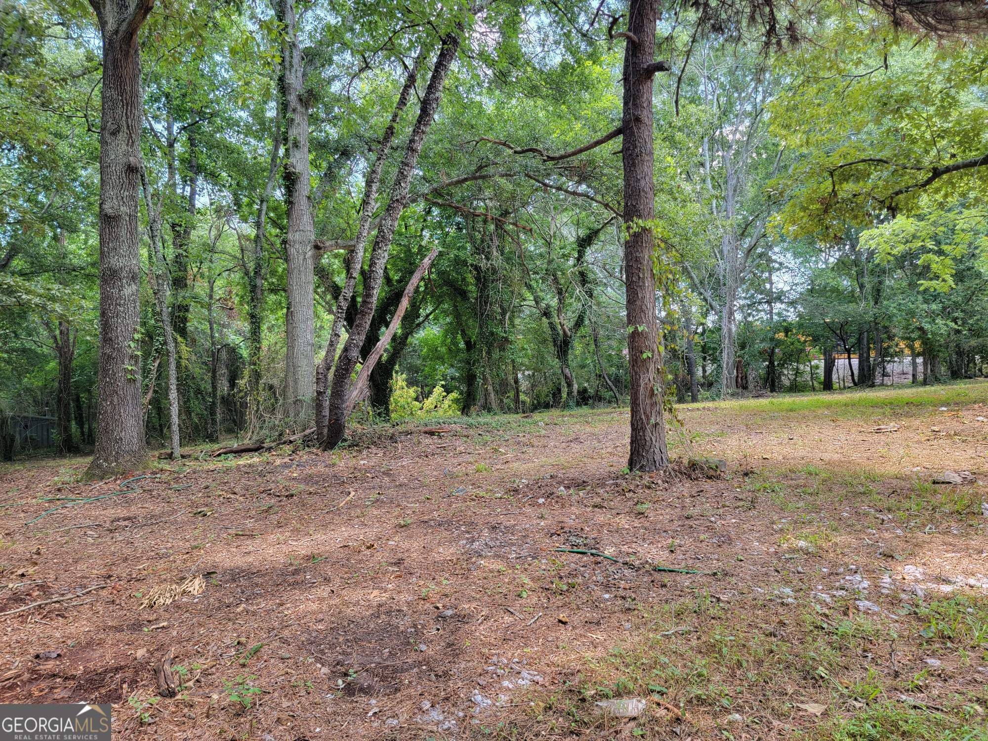 947 Sheppard Road Stone Mountain, GA 30083 - Photo 5 of 15 a view of backyard with trees