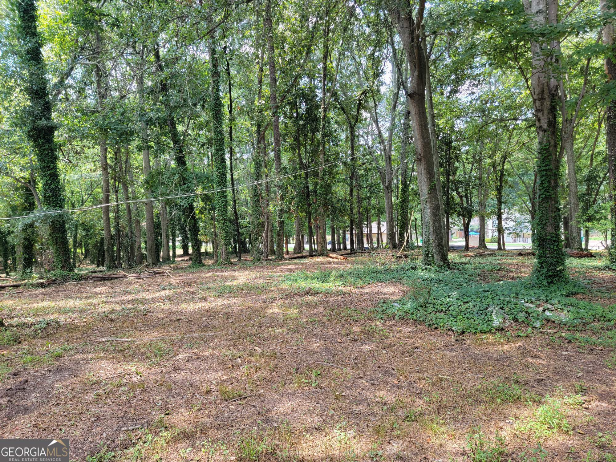 947 Sheppard Road Stone Mountain, GA 30083 - Photo 6 of 15 a view of outdoor space with trees