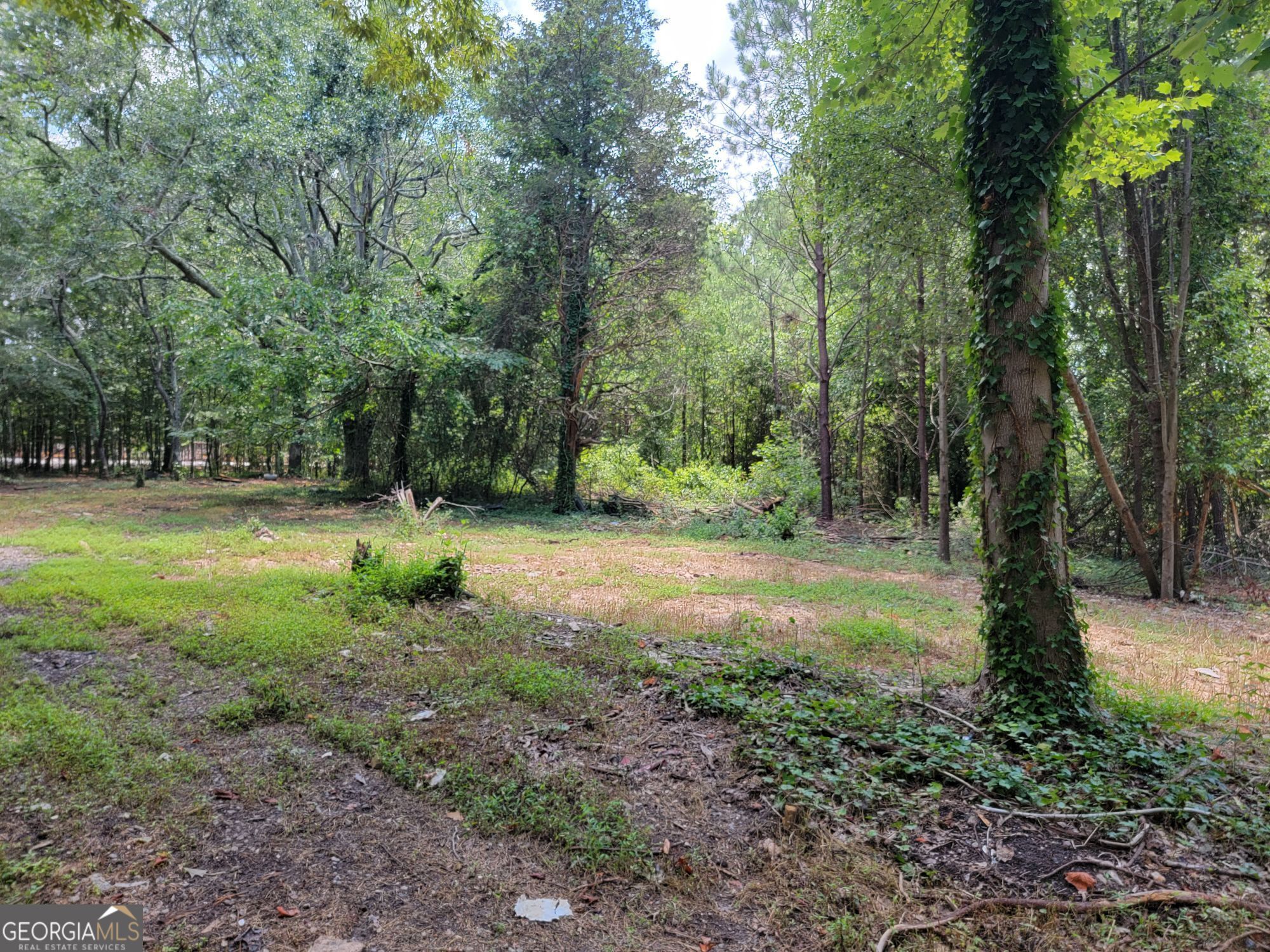 947 Sheppard Road Stone Mountain, GA 30083 - Photo 7 of 15 a view of outdoor space with trees all around