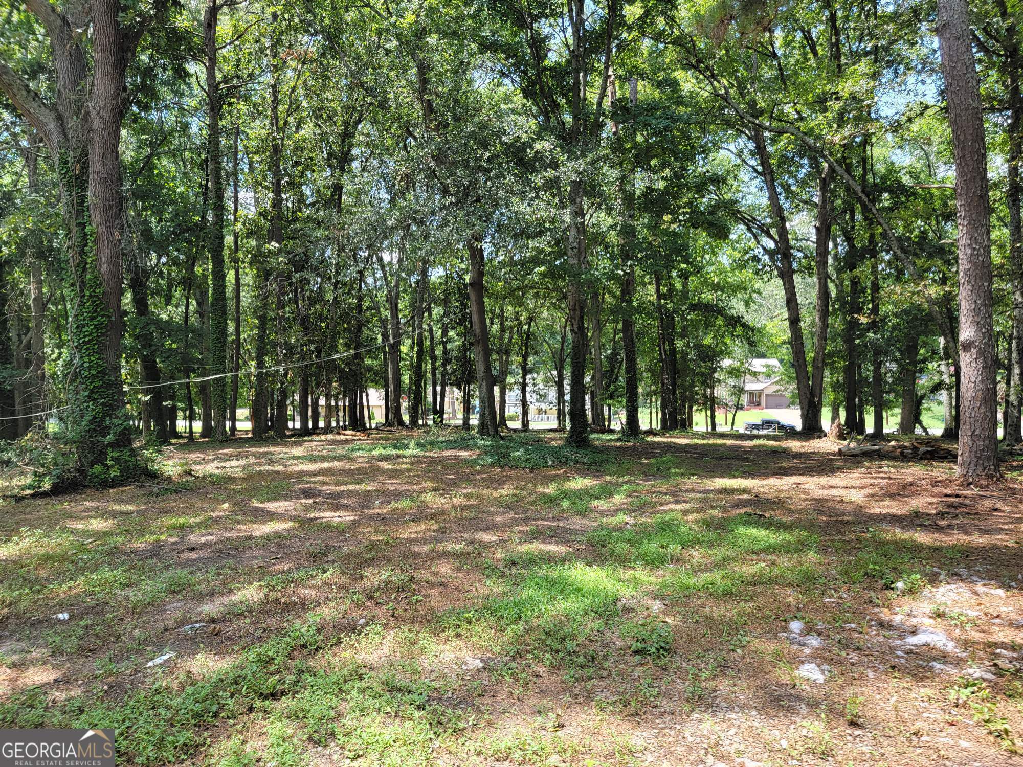 947 Sheppard Road Stone Mountain, GA 30083 - Photo 8 of 15 a view of a trees with yard
