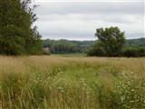 West Cleveland Road Rothbury, MI 49452 - Photo 3 of 3 Additional Photo