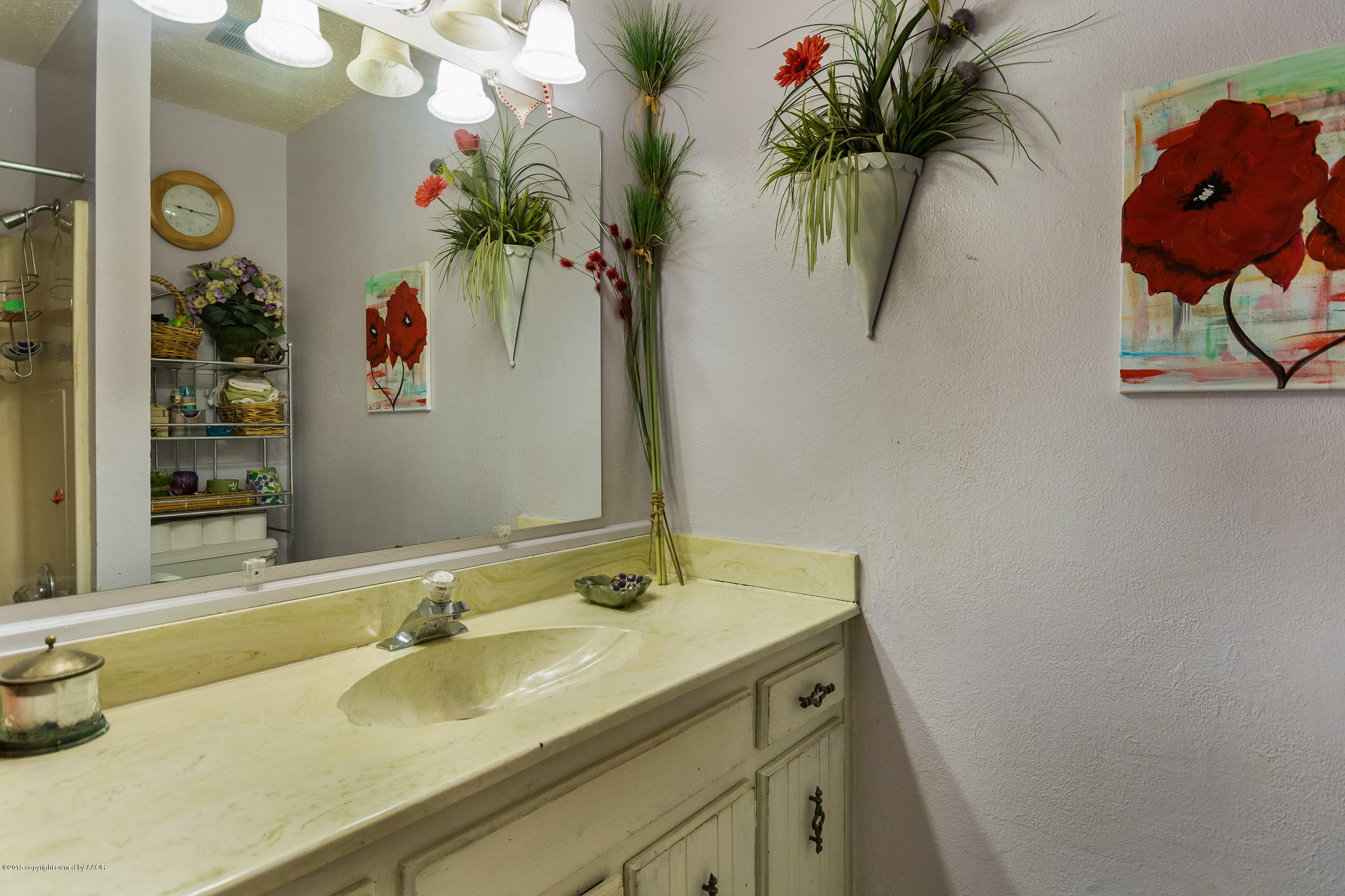 5017 Tulip Avenue Amarillo, TX 79110 - Photo 11 of 16 a bathroom with a sink a mirror and a potted plant