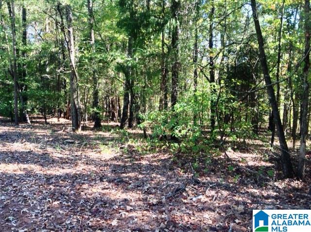 0 Whispering Pines Road, Unit 1 AMD 2 Oxford, AL 36203 - Photo 18 of 30