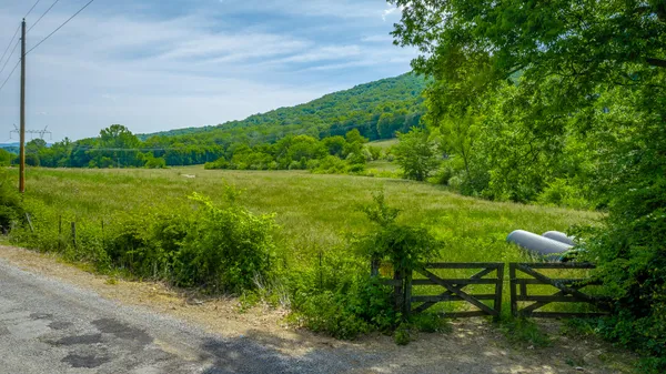 $400,000 | 14344 County Road 91, Bryant, AL 35958