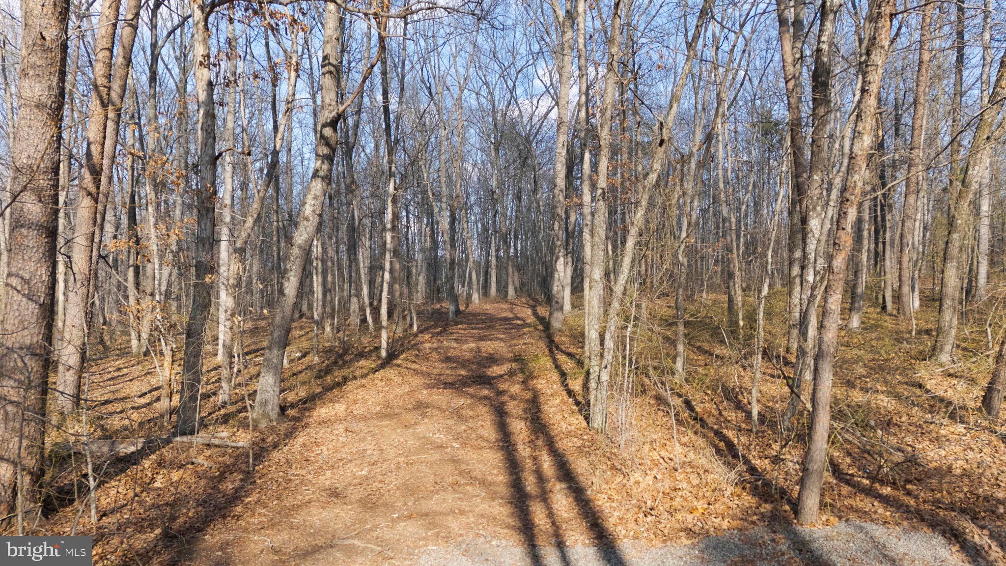 Roberts Lane Lane Rixeyville, VA 22737 - Photo 3 of 8 a view of under construction area