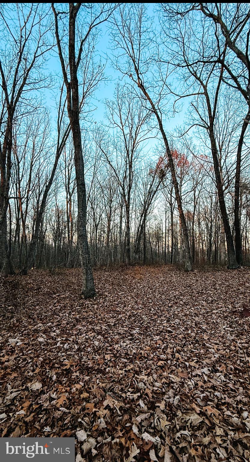 Roberts Lane Lane Rixeyville, VA 22737 - Photo 8 of 8 a view of a yard with trees