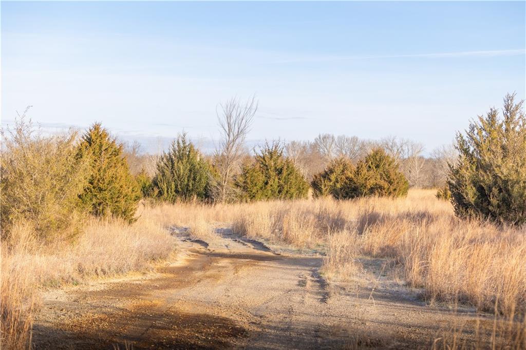 0 Trianon Road Mulberry, KS 66756 - Photo 13 of 19