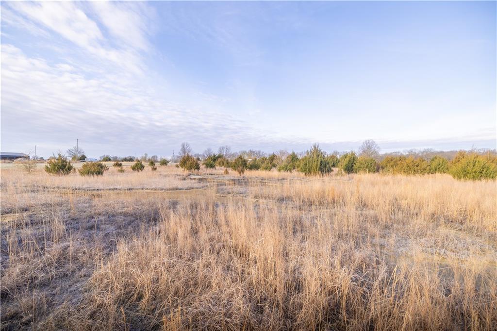 0 Trianon Road Mulberry, KS 66756 - Photo 15 of 19