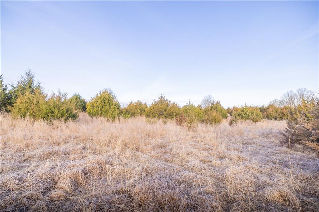 0 Trianon Road Mulberry, KS 66756 - Photo 16 of 19