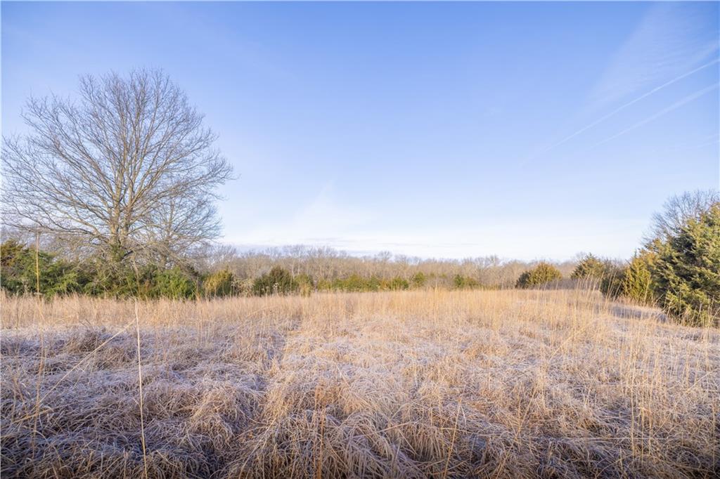 0 Trianon Road Mulberry, KS 66756 - Photo 17 of 19