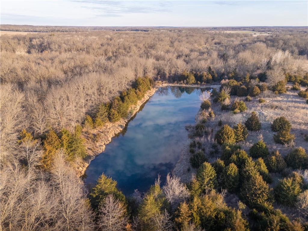 0 Trianon Road Mulberry, KS 66756 - Photo 2 of 19