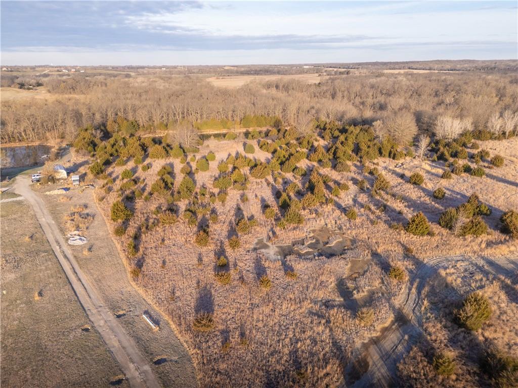 0 Trianon Road Mulberry, KS 66756 - Photo 3 of 19