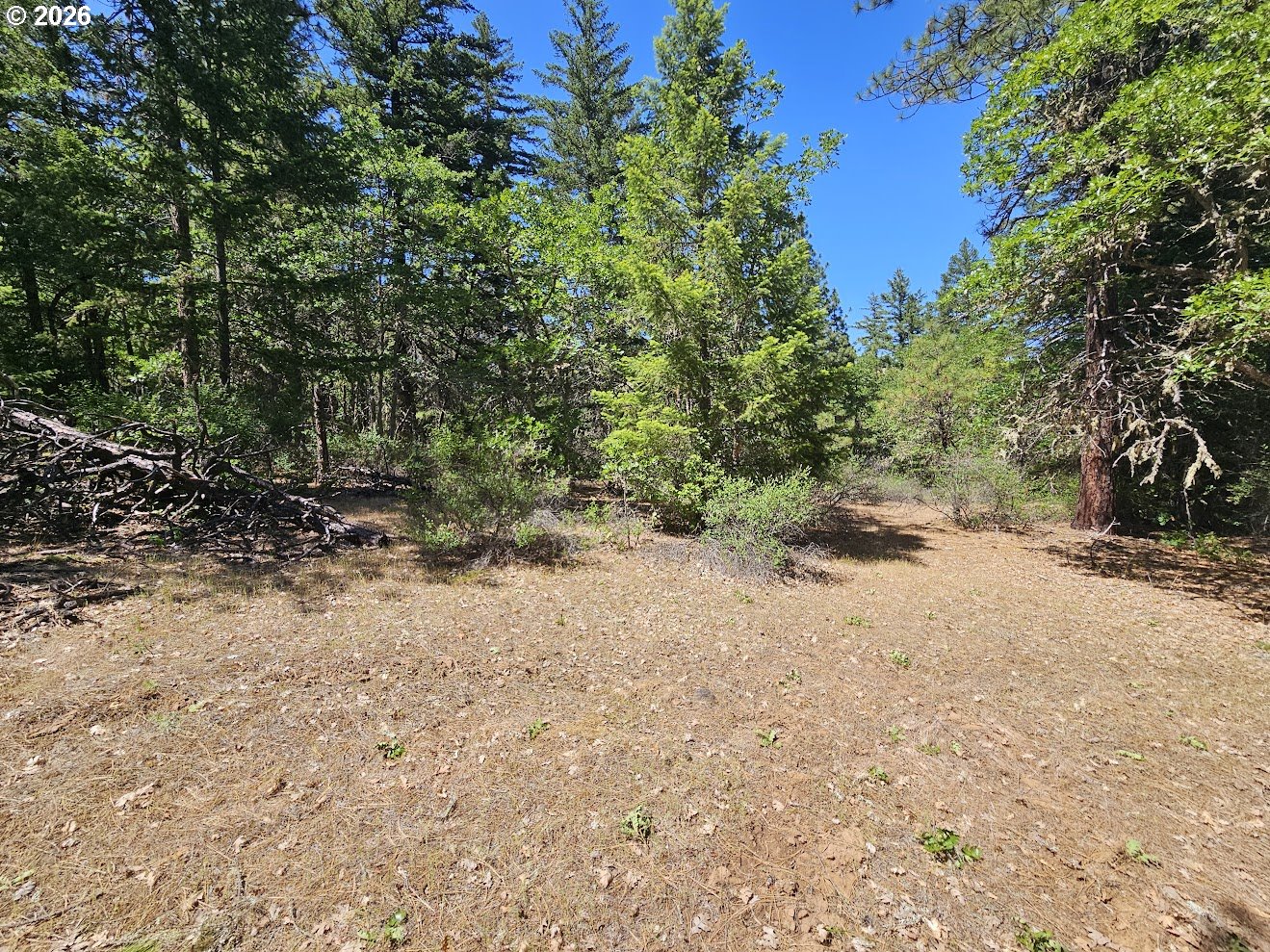 Lovers Lane Lyle, WA 98635 - Photo 8 of 25