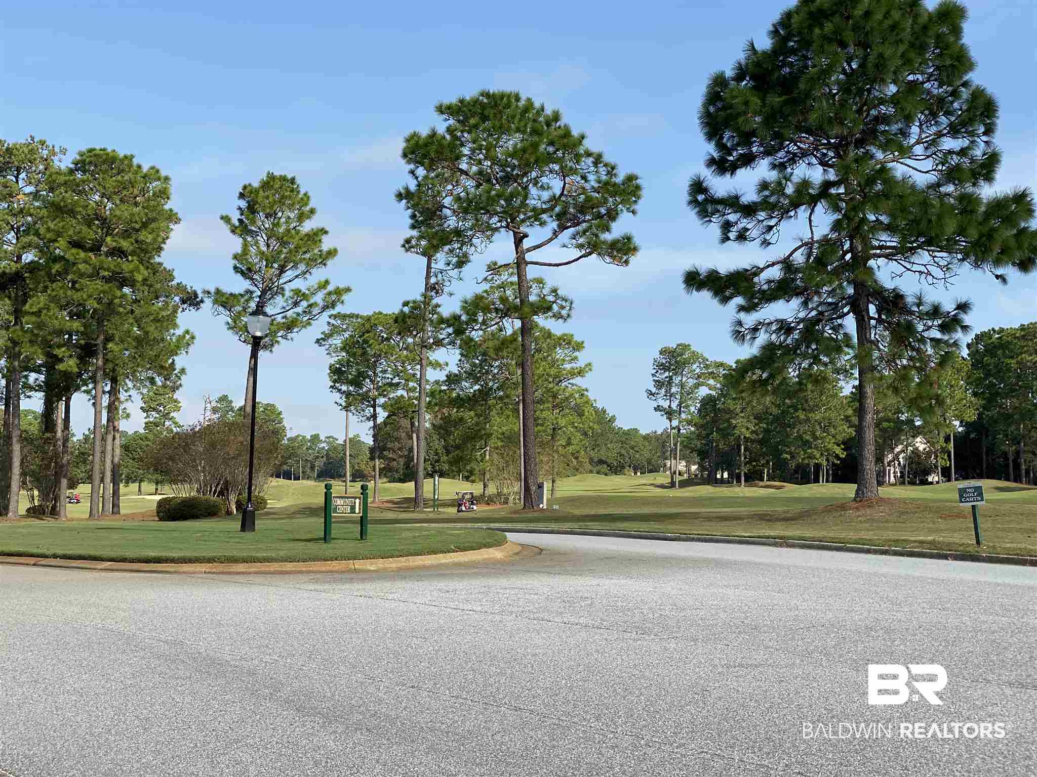 8381 Pine Run Daphne, AL 36527 - Photo 9 of 27