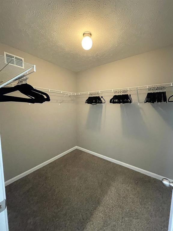 301 Trinity Way Wexford, PA 15090 - Photo 23 of 24 Large closets