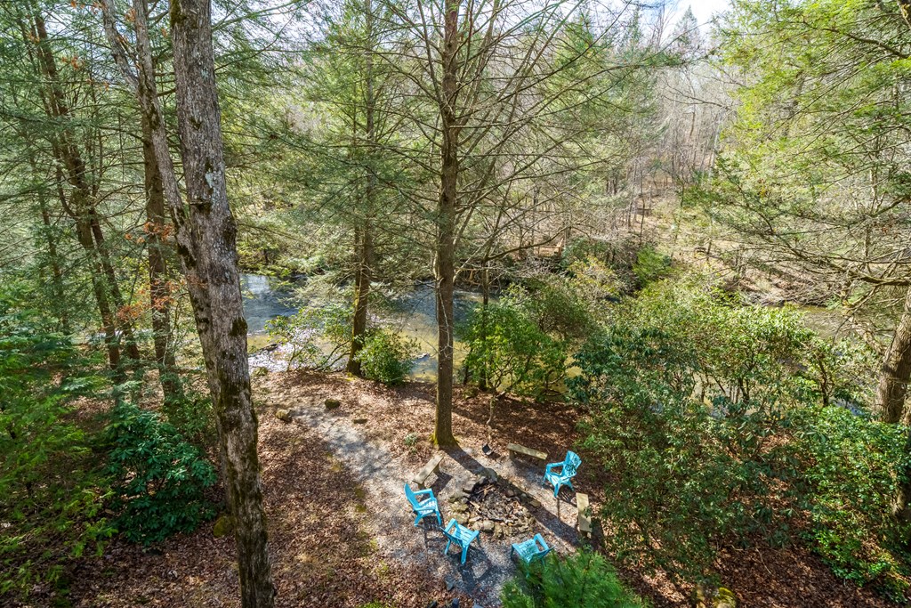 252 Branch Creek Road Blue Ridge, GA 30513 - Photo 29 of 79 Gallery Image 29