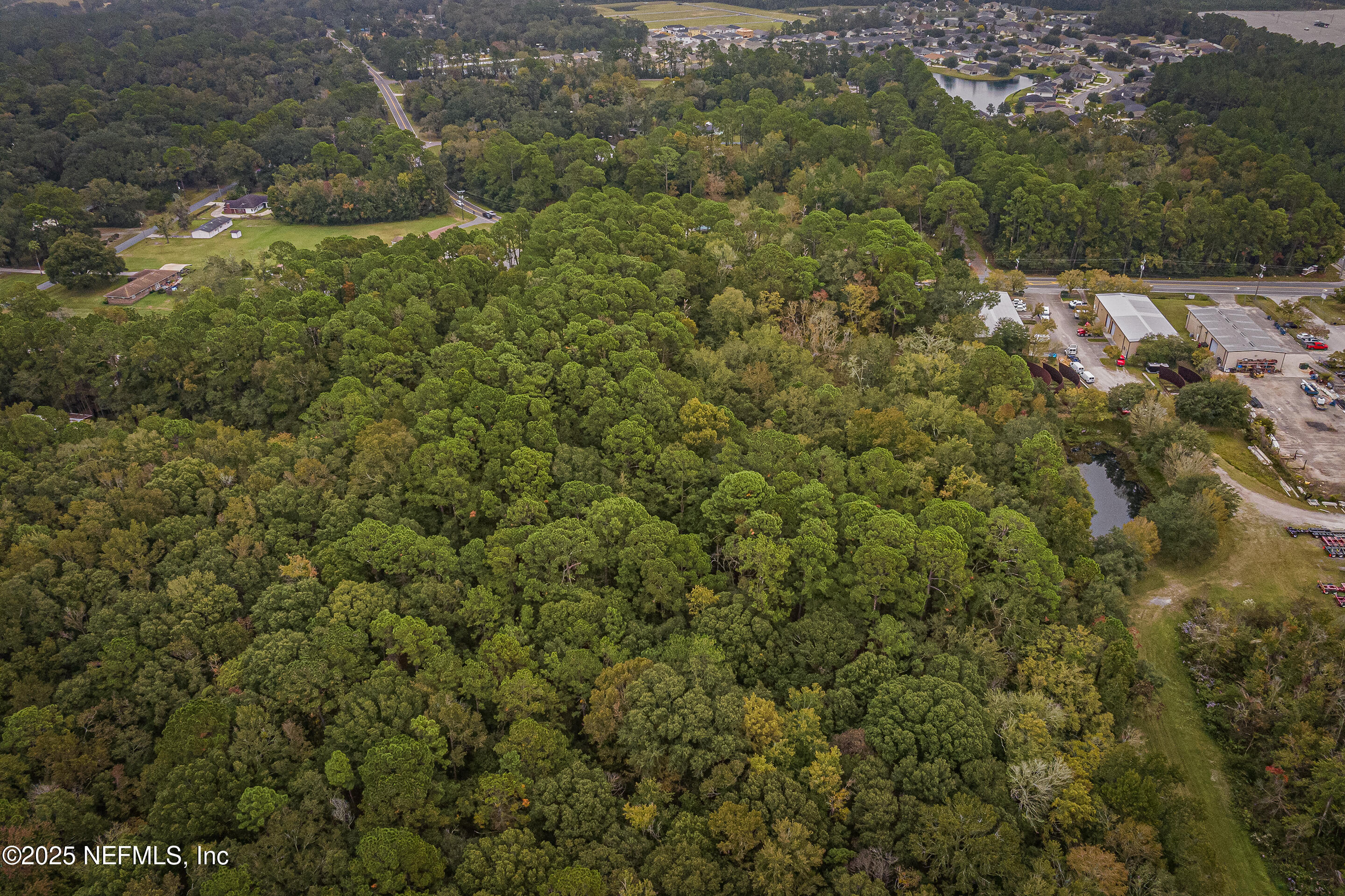 6535 General Lee Road Jacksonville, FL 32254 - Photo 11 of 16 a view of a forest with a street